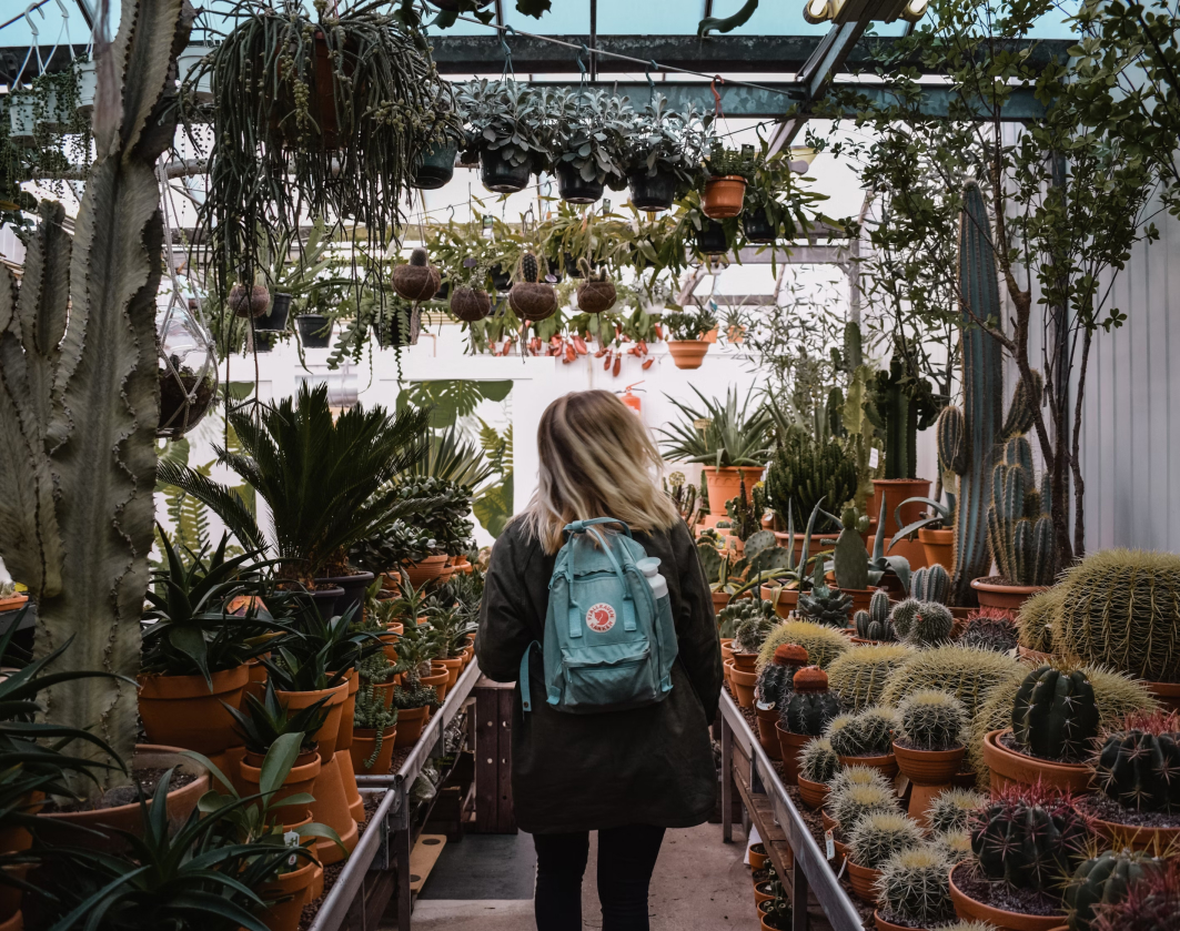 Greenhouse