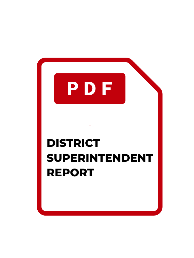 1._DS_Report.png