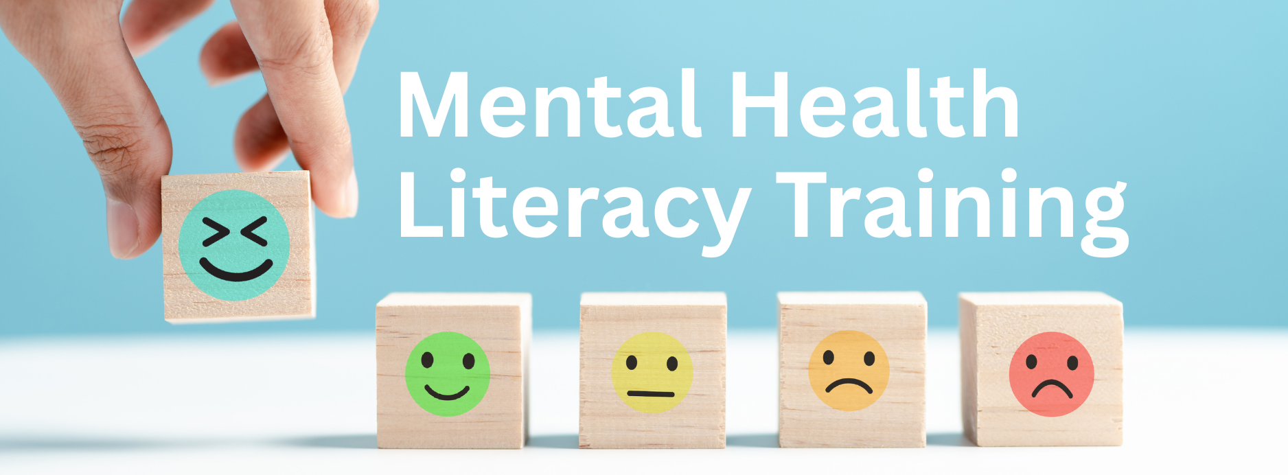 Mental Health Literacy Training Video