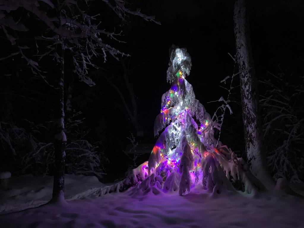 Advent Reflections: Hope